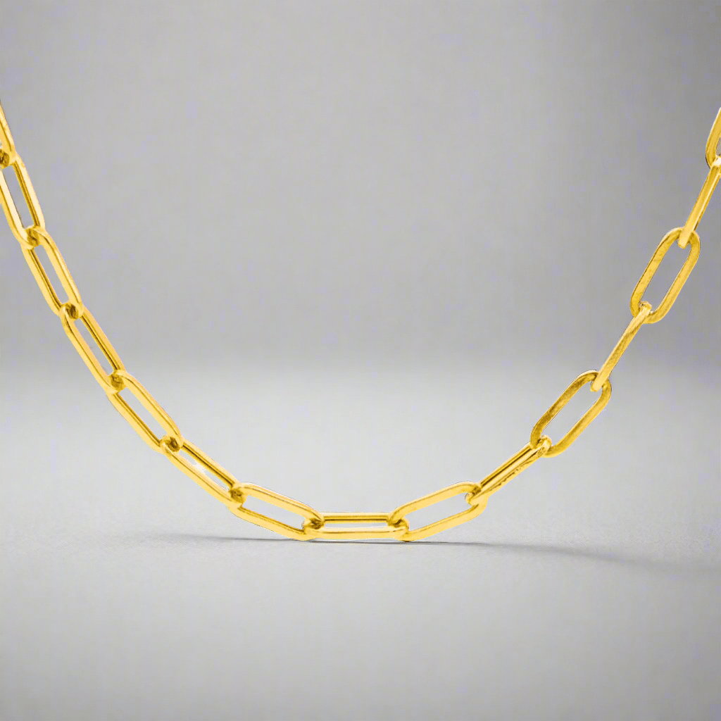 18k Paperclip Chain Necklace - Delma Gold Jewelry