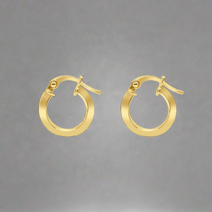 18k Gold Solid Hoop Earrings - Delma Gold Jewelry