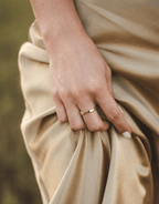 Crown Signet Ring, Solid 18K Gold - Delma Gold Jewelry